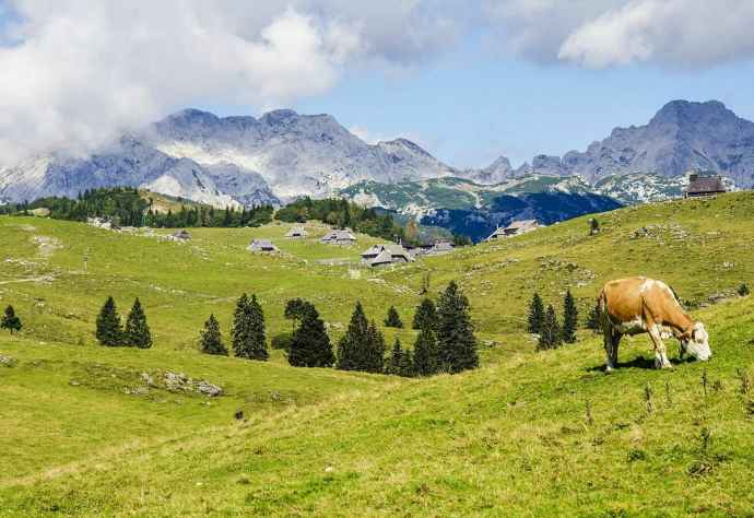 Velika Planina, Stahovica, Slovenia