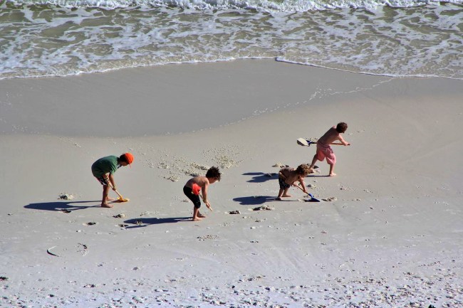 Children on the beach