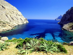 Bay Near Puerto Pollensa, Mallorca (Majorca), Balearic Islands, Spain, Europe