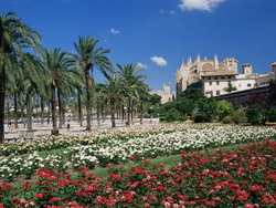 Palma Cathedral and Gardens of Parc De La Mar Square, Palma De Mallorca, Majorca, Spain