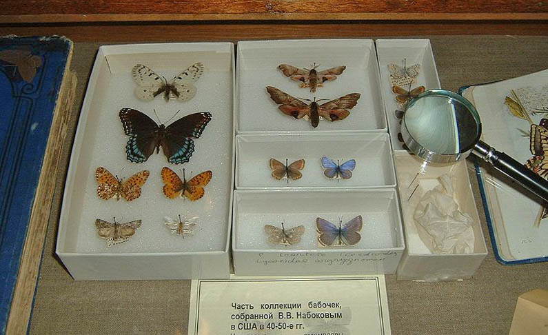 Nabokov Museum St Petersburg